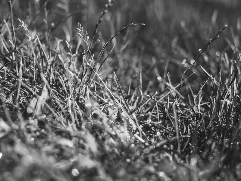 android screenshot 3